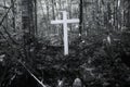 Cemetery, Cross woods, Grave in Mystical Dark Forest, Damn Woods, Horror, Scary, Creepy, Haunted, Death. Danger. Spiritualism Royalty Free Stock Photo