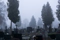 Cemetery during dark misty morning or night. Royalty Free Stock Photo