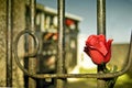 Cemetery door