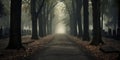 cemetery in fall. dry leaves. foggy and misty. Road, driveway, path, boulevard, byway, route, track, trail, street, row of trees.