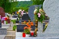 Cemetery with flowers Royalty Free Stock Photo