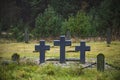 Cemetery of the German soldiers of times of World War I in the village of Zasvir. Royalty Free Stock Photo