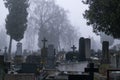 Cemetery during dark misty morning or night. Royalty Free Stock Photo