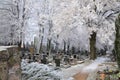 Cemetery gravestones in the snow white