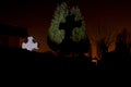 Cemetery graveyard tombstone tree night