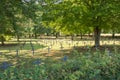 Cemetery of the great war 1914 to 1918 with multiple small cross