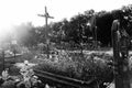 Cemetery in Grzmiaca, Poland, cross and abandoned grave overgrown with tall grass