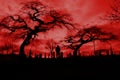 Cemetery with hellfire sky and scary trees.