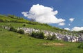 Cemetery on a hill in Transylvania, Romania