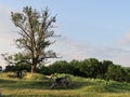 Cemetery Hill Gettysburg Battlefield