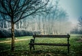 Spooky cemetery in fog