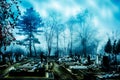 Spooky cemetery in mist Royalty Free Stock Photo