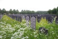 Cemetery jewish