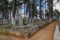 English cemetery, town of real del monte near pachuca, hidalgo III