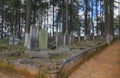 English cemetery, town of real del monte near pachuca, hidalgo II