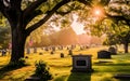 Cemetery landscape with golden sunlight and American flags. Royalty Free Stock Photo