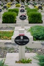 Cemetery of the Lviv Eaglets Royalty Free Stock Photo