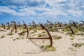 Cemetery of Marine Anchors at Barril Beach