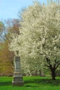 Cemetery Memorial Grave