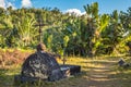 The cemetery of past pirates at St. Mary Island, Madagscar