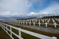 Cemetery Royalty Free Stock Photo