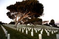 Military cemetery with rows of white marble graves on green grass at sunset with ocean view. Marine veteran's cemetery