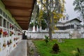 Cemetery of Salamina, in Colombia Royalty Free Stock Photo