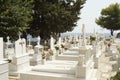 Cemetery on Samos