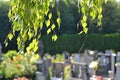 Cemetery scene