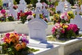 Cemetery in St Barths, Caribbean