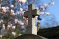 Cemetery stone cross with blurred beautiful springtime magnolia flower tree Royalty Free Stock Photo