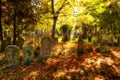 Cemetery With Sunray In Autumn