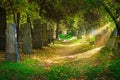 Cemetery With Sunray In Autumn Royalty Free Stock Photo