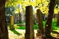 Cemetery With Sunray In Autumn Royalty Free Stock Photo