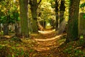 Cemetery With Sunray In Autumn Royalty Free Stock Photo