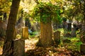 Cemetery With Sunray In Autumn Royalty Free Stock Photo