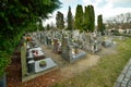 Cemetery with tombstones in the shape of a cross, angels. Many decorated graves