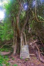 The cemetery of Trunyan village of Bali, Indonesia Royalty Free Stock Photo