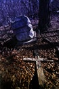 Cemetery in twilight Royalty Free Stock Photo