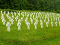 Cemetery of ukrainian soldiers those killed in World War II