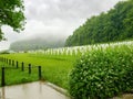 Cemetery of ukrainian soldiers those killed in World War II