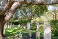 Cemetery Under Old Oak Tree Royalty Free Stock Photo