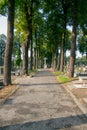 Cemetery, view of the gravestones in the autumn