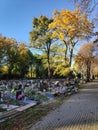 Cemetery autumn view in Bytom, Poland Royalty Free Stock Photo