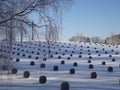 Cemetery in winter with rows of dark tombstones Royalty Free Stock Photo