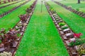 Cemetery of World War II soldiers. Royalty Free Stock Photo