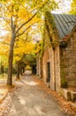 A cemetry avenue in autumn with trees withs yellow leafs Royalty Free Stock Photo