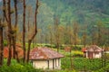 Cemoro Lawang village