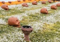 Cempasuchil flowers arranged in the Day of the Dead offering