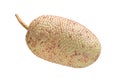 Cempedak or Artocarpus Integer, is same genus as jackfruit, isolate on white background